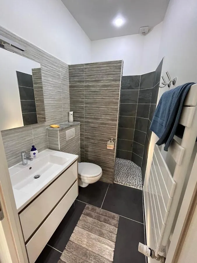 Les Gentianes Apartment Alby-sur-Cheran
